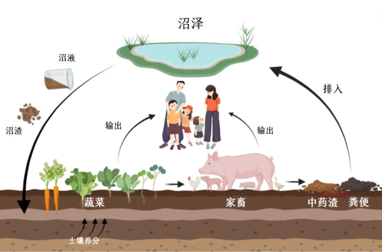 生态农场循环框架图